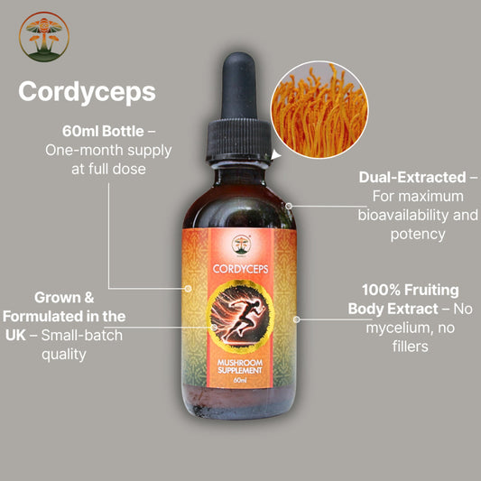Cordyceps supplement bottle with label on a gray background