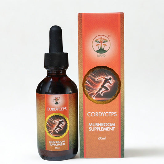 Cordyceps mushroom supplement bottle and packaging on a white background