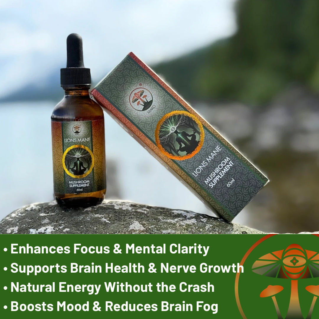 Bottle and box of Lions Mane mushroom supplement on a rock with promotional text.