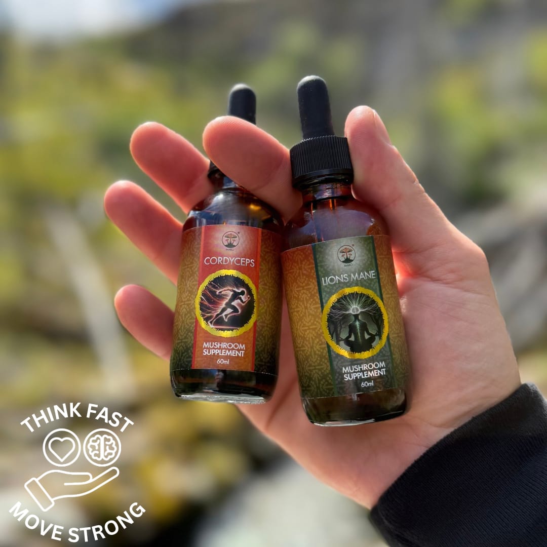 Hand holding two bottles of mushroom supplements with a blurred natural background. Lions mane and Cordyceps morning bundle