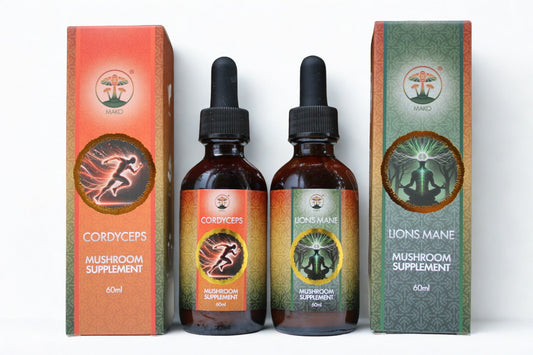 Two mushroom supplement bottles with their packaging on a white background