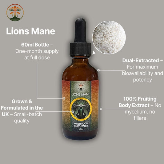 Lions Mane mushroom supplement bottle with label and dropper on a gray background