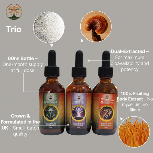 Three bottles of a mushroom supplement with labels and images on a gray background
