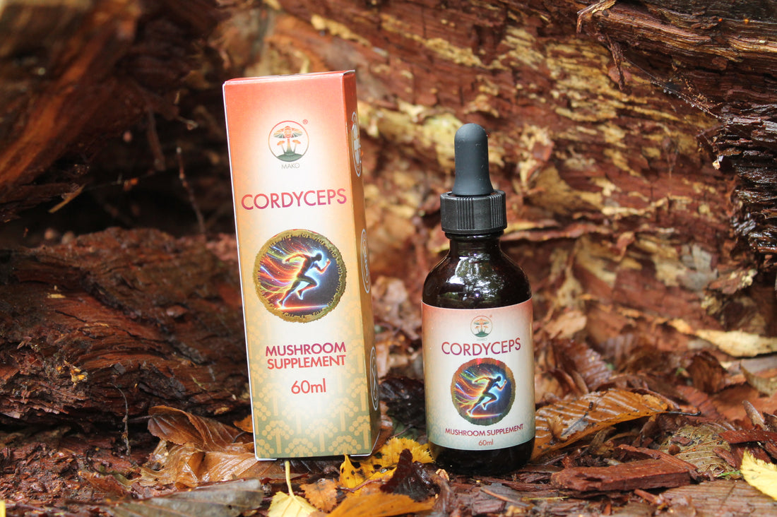 Benefits of Cordyceps