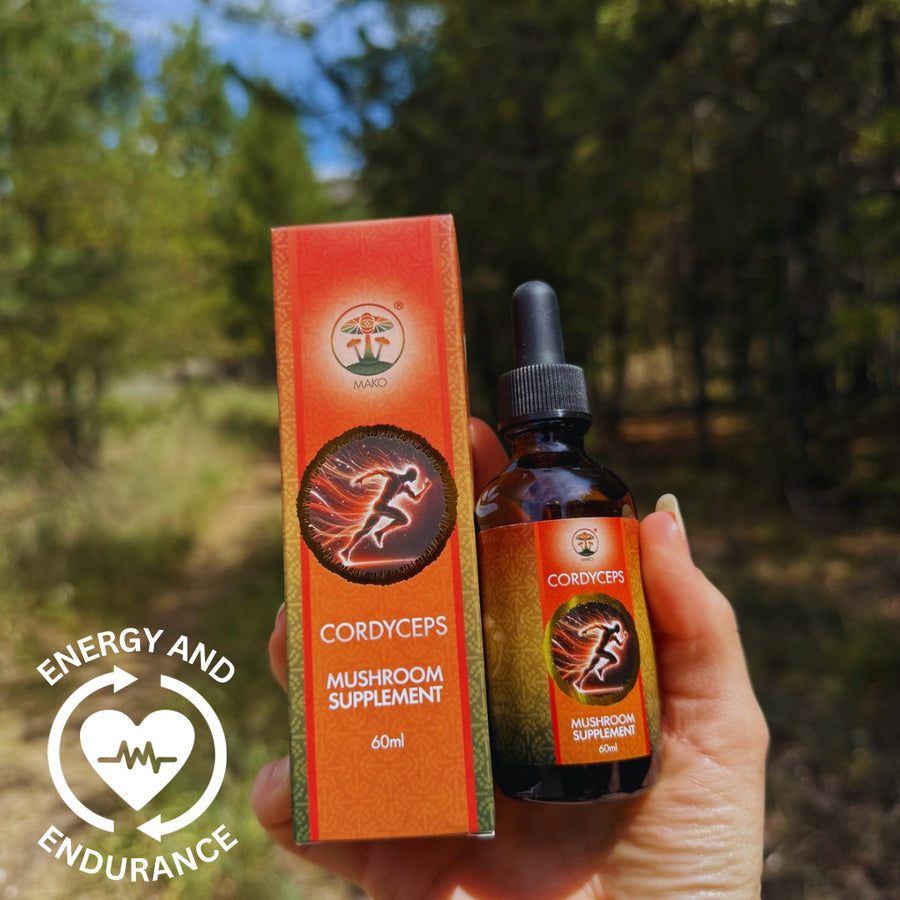 Cordyceps mushroom supplement bottle and packaging held in a hand with a forest background