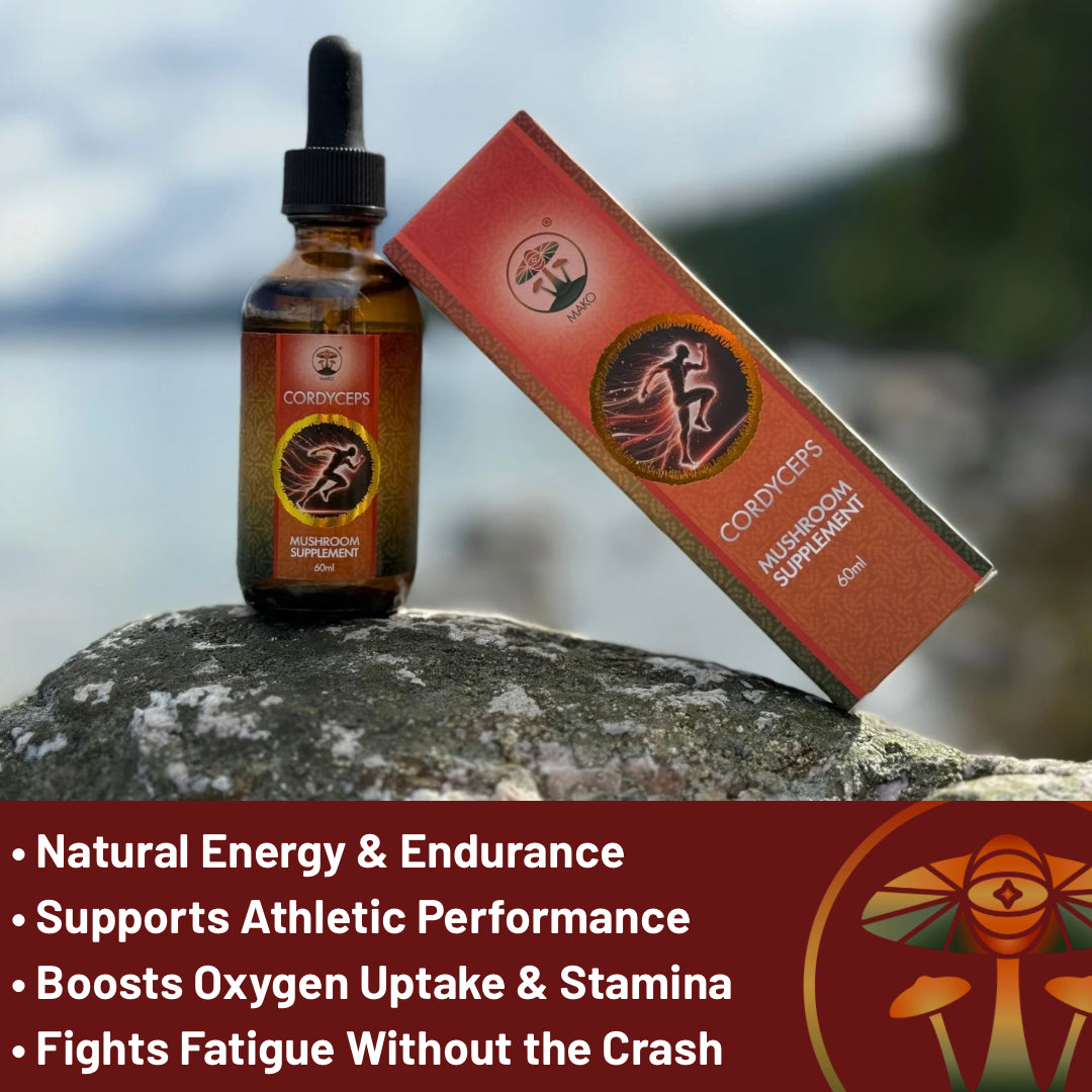 Cordyceps supplement bottle and packaging on a rock with promotional text about health benefits.