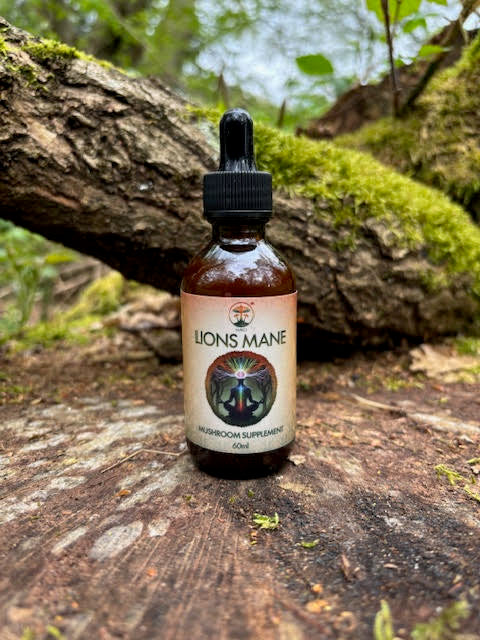 Mako's Lions Mane Mushroom tincture front