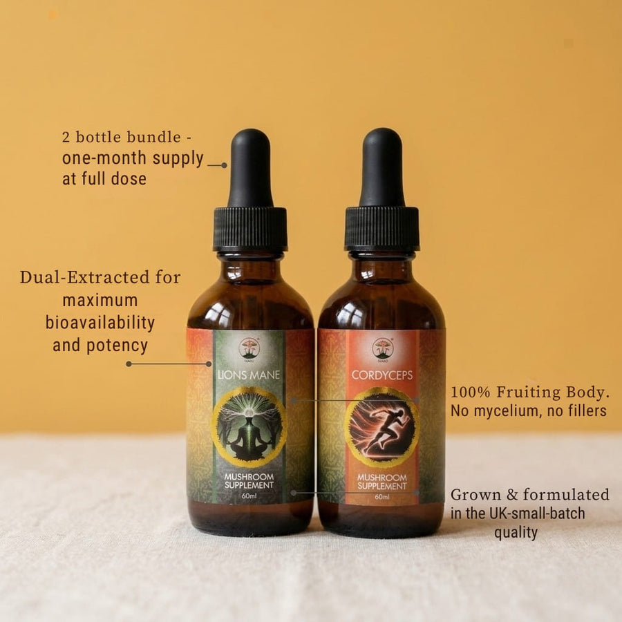 Two mushroom supplement bottles with labels on a textured surface and beige background. Lions mane and Cordyceps morning bundle