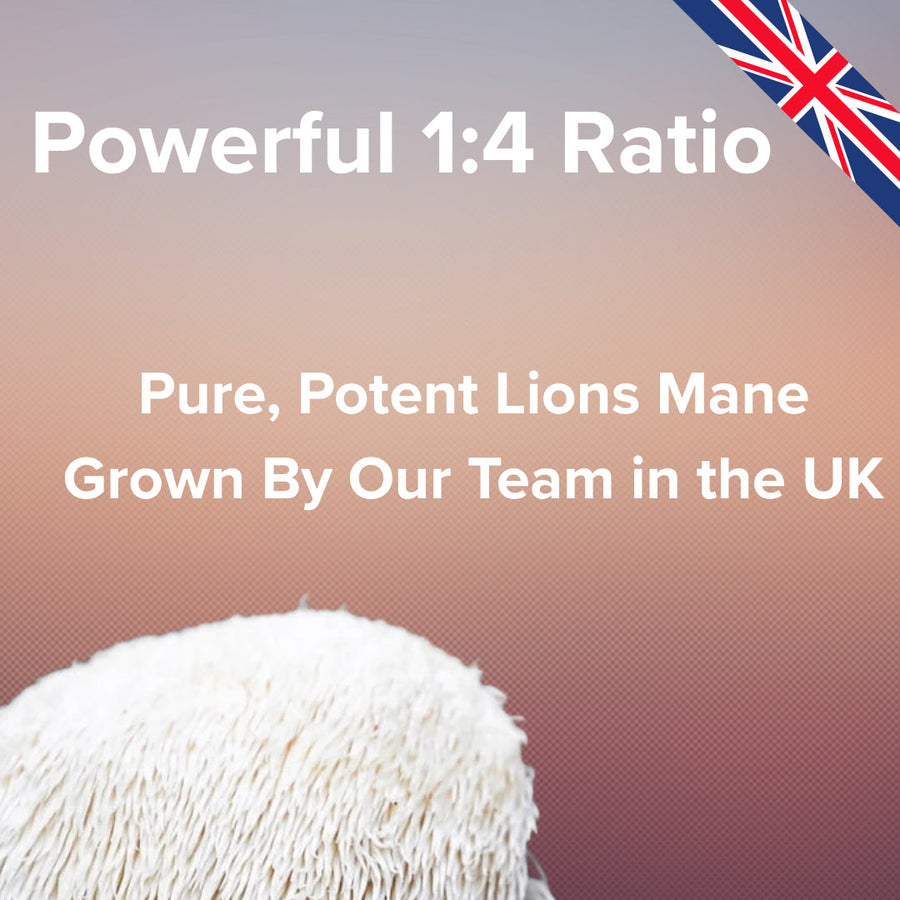 Lions mane mushroom with text about a 1:4 ratio and UK growth, featuring a British flag.
