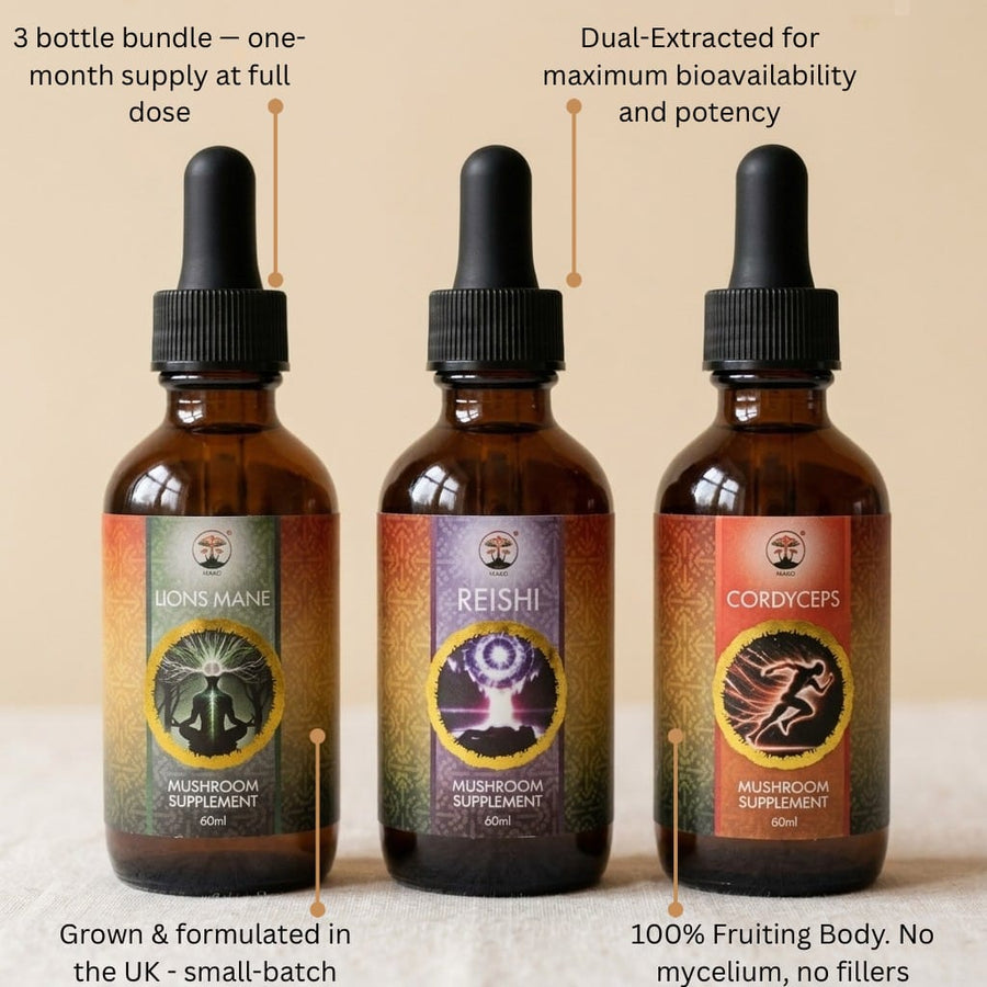 Three mushroom supplement bottles with labels on a beige background. Lions mane, Cordyceps and Reishi