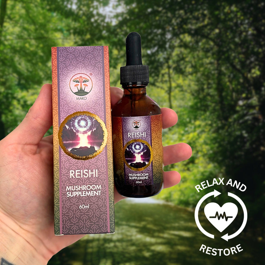 Hand holding Reishi mushroom supplement bottle and packaging with a forest background