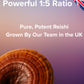 Reishi mushroom with text about a 1:5 ratio and UK growth, featuring a British flag.