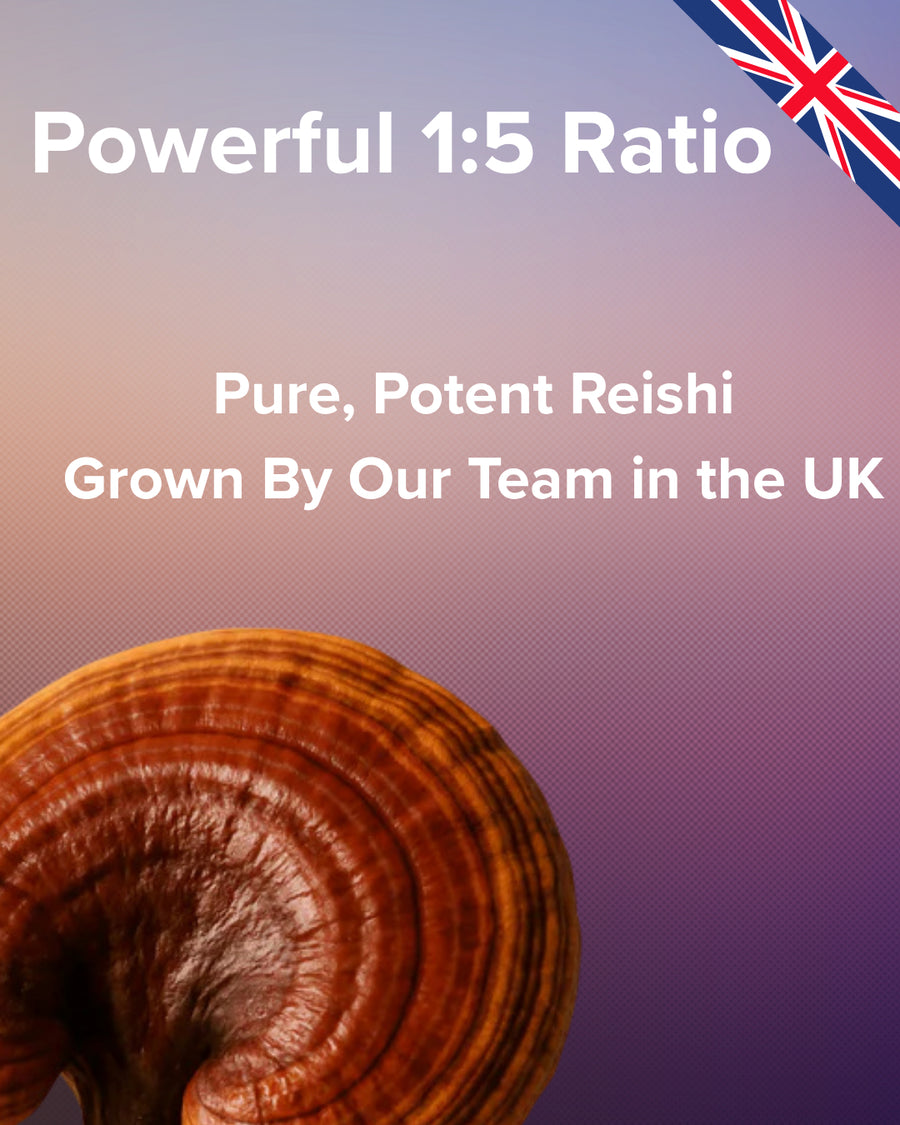 Reishi mushroom with text about a 1:5 ratio and UK growth, featuring a British flag.