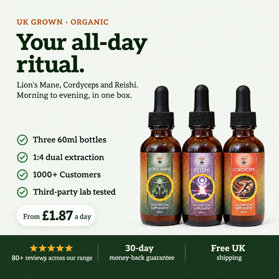 Lion's Mane, Cordyceps and Reishi tincture set by Mako Labs, UK grown and organic