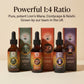 The Flow Trio - Focus, Energy, Balance