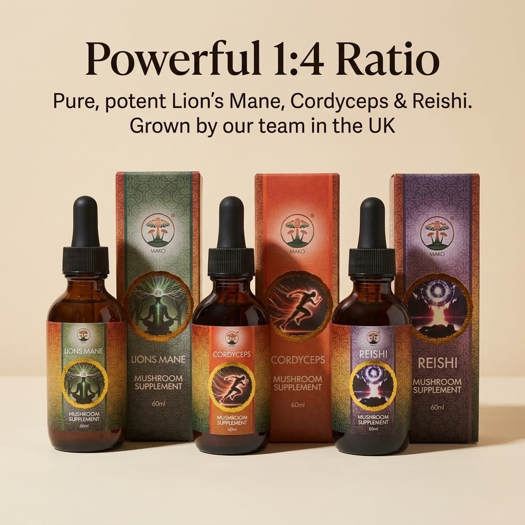The Flow Trio - Focus, Energy, Balance
