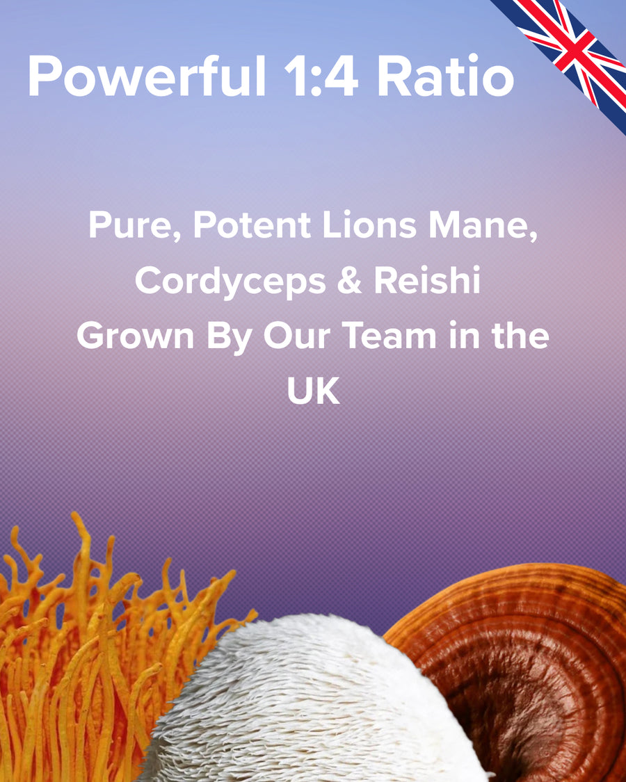 Three types of mushrooms with text about a 1:4 ratio and UK-grown mushrooms.