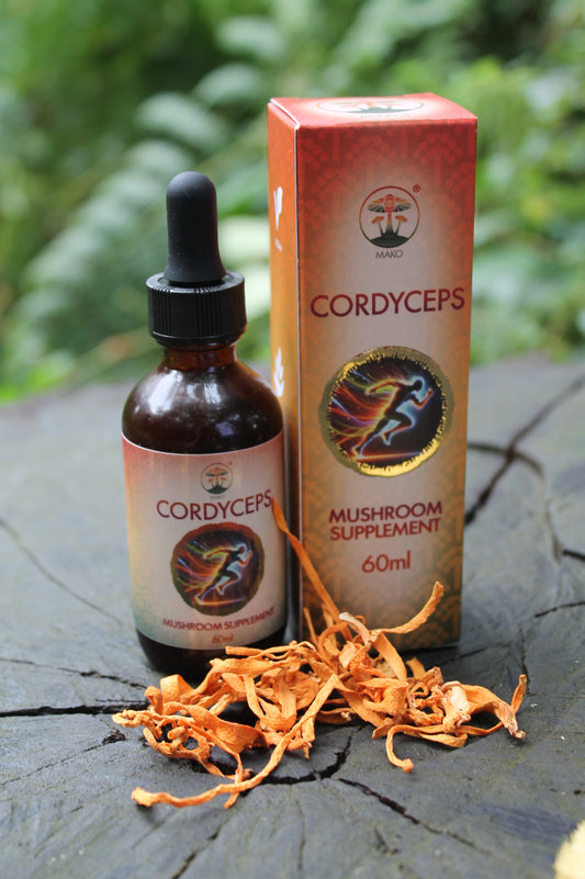 Mako's Cordyceps mushroom tincture in an amber glass bottle with dropper, box and natural Cordyceps