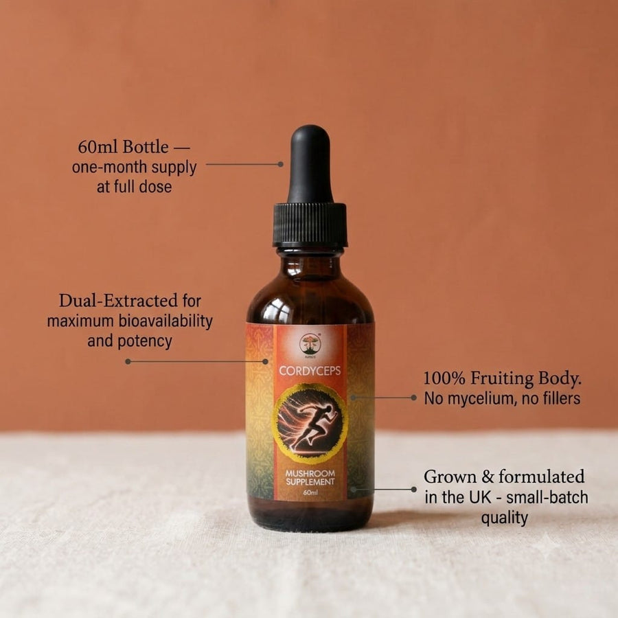 Mako Labs Mushroom Tincture Cordyceps Mushroom Tincture 60ml - Energy