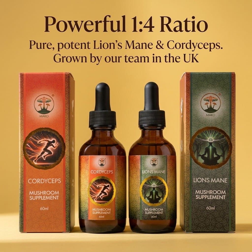 Lion's Mane & Cordyceps Mushroom Tincture - AM BUNDLE