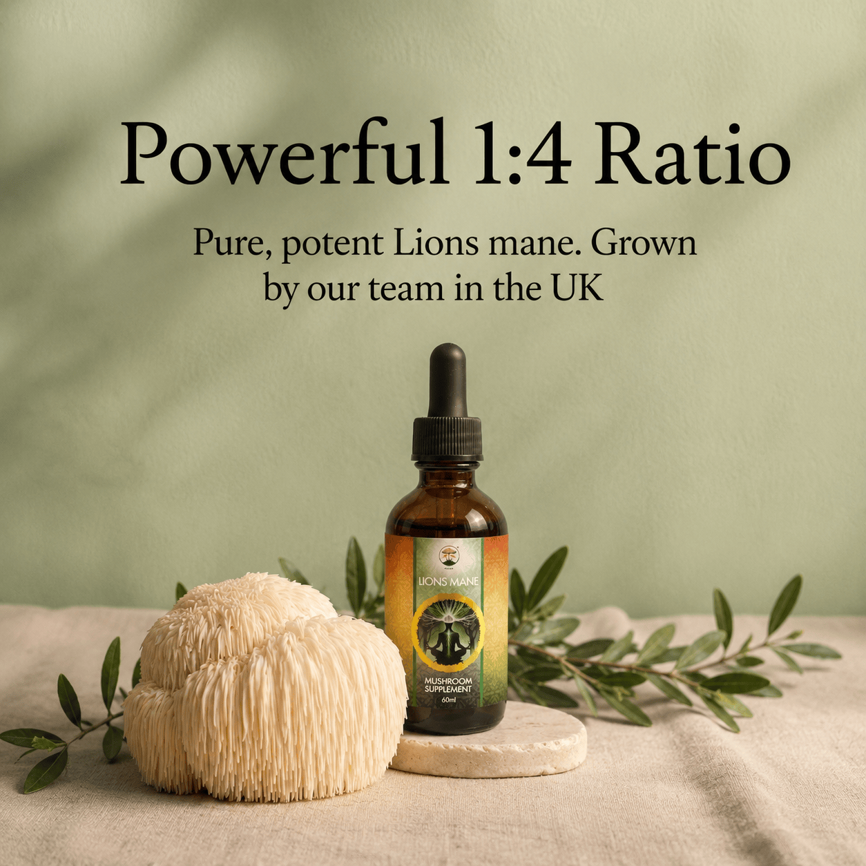 Mako Labs Mushroom Tincture Lion's Mane Mushroom Tincture 60ml - Focus
