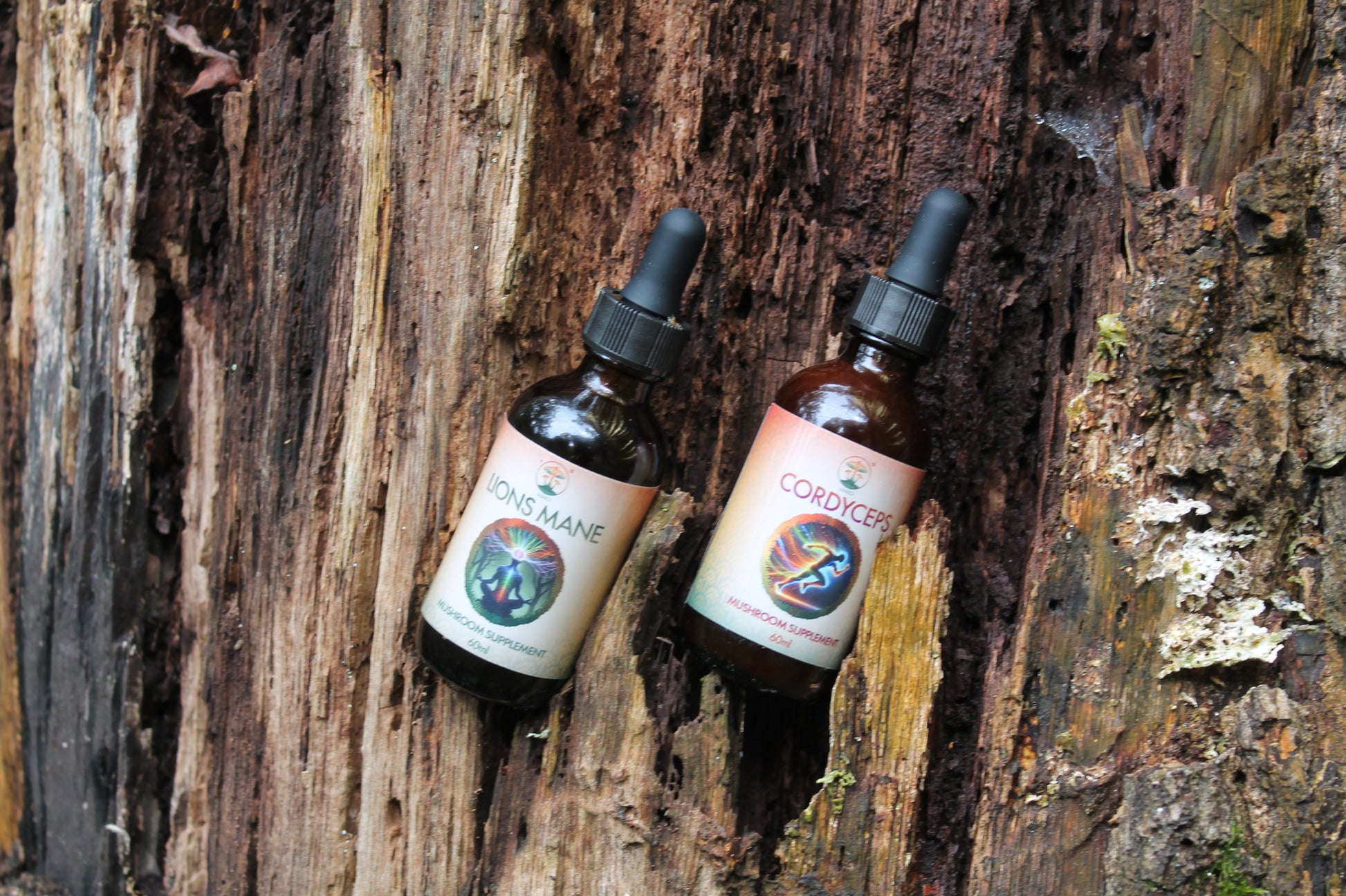 Mako's Lions mane and Cordyceps Mushroom Tinctures in tree front