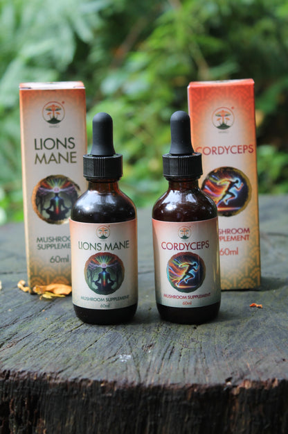 Mako's Lions mane and Cordyceps Mushroom Tinctures with box on tree